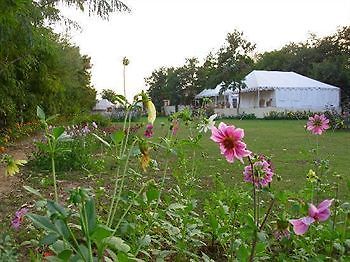 Jungle View Resort ซาวาย มาโดปูร์ ภายนอก รูปภาพ