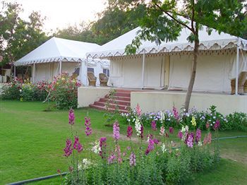 Jungle View Resort ซาวาย มาโดปูร์ ภายนอก รูปภาพ